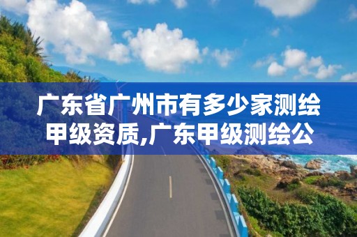 廣東省廣州市有多少家測(cè)繪甲級(jí)資質(zhì),廣東甲級(jí)測(cè)繪公司。