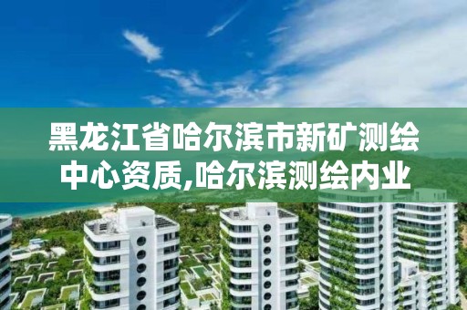 黑龍江省哈爾濱市新礦測繪中心資質(zhì),哈爾濱測繪內(nèi)業(yè)招聘信息。