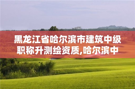 黑龍江省哈爾濱市建筑中級職稱升測繪資質,哈爾濱中級職稱評審。