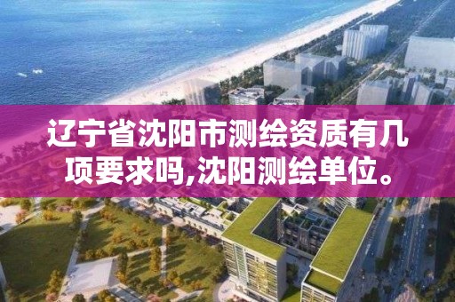 遼寧省沈陽市測繪資質有幾項要求嗎,沈陽測繪單位。