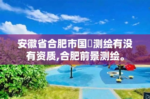 安徽省合肥市國(guó)璟測(cè)繪有沒(méi)有資質(zhì),合肥前景測(cè)繪。