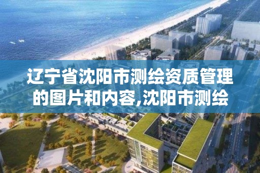 遼寧省沈陽市測繪資質管理的圖片和內容,沈陽市測繪管理辦公室。