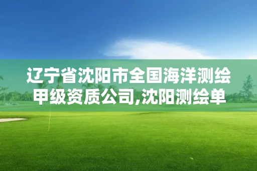 遼寧省沈陽市全國海洋測繪甲級資質公司,沈陽測繪單位。