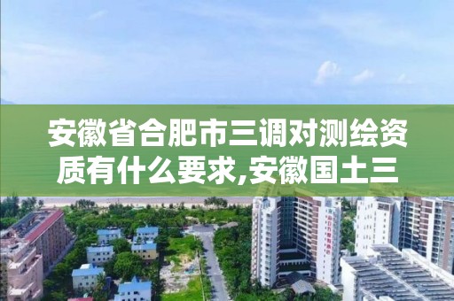 安徽省合肥市三調對測繪資質有什么要求,安徽國土三調。