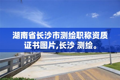 湖南省長沙市測繪職稱資質(zhì)證書圖片,長沙 測繪。