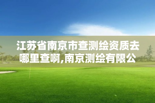 江蘇省南京市查測繪資質去哪里查啊,南京測繪有限公司。