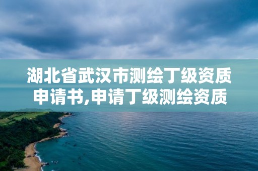 湖北省武漢市測繪丁級資質申請書,申請丁級測繪資質的具體流程。