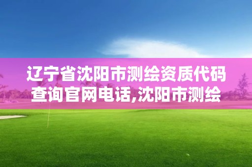 遼寧省沈陽市測繪資質代碼查詢官網電話,沈陽市測繪院是什么單位。