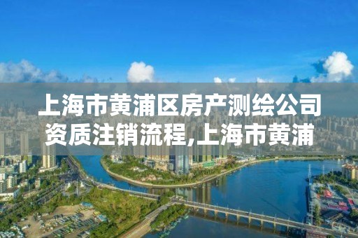 上海市黃浦區房產測繪公司資質注銷流程,上海市黃浦區房產測繪公司資質注銷流程。