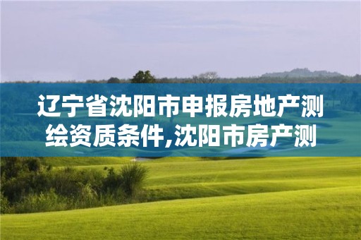 遼寧省沈陽市申報房地產測繪資質條件,沈陽市房產測繪大隊電話。