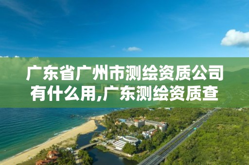 廣東省廣州市測(cè)繪資質(zhì)公司有什么用,廣東測(cè)繪資質(zhì)查詢。