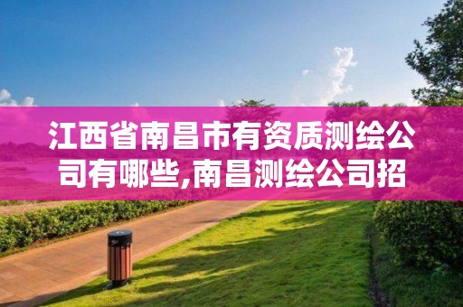 江西省南昌市有資質(zhì)測繪公司有哪些,南昌測繪公司招聘。