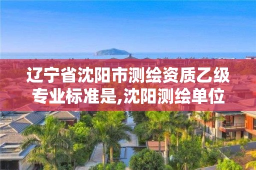 遼寧省沈陽市測繪資質(zhì)乙級專業(yè)標(biāo)準(zhǔn)是,沈陽測繪單位。