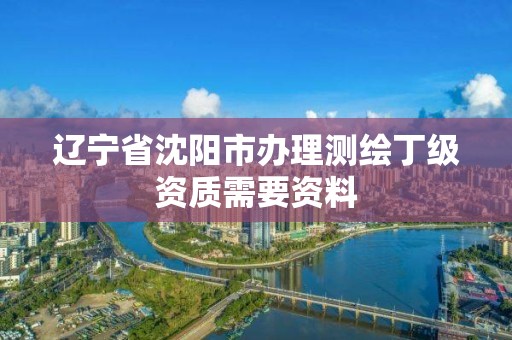 遼寧省沈陽市辦理測繪丁級資質需要資料