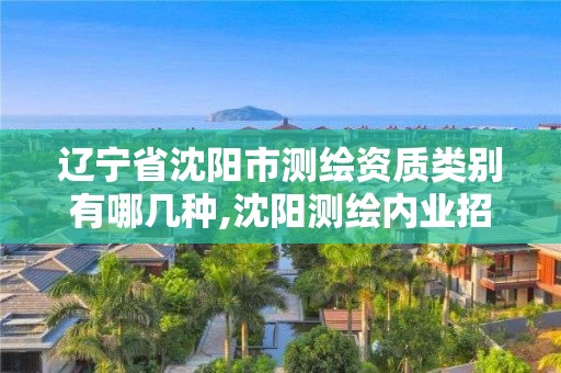 遼寧省沈陽市測繪資質類別有哪幾種,沈陽測繪內業招聘信息。