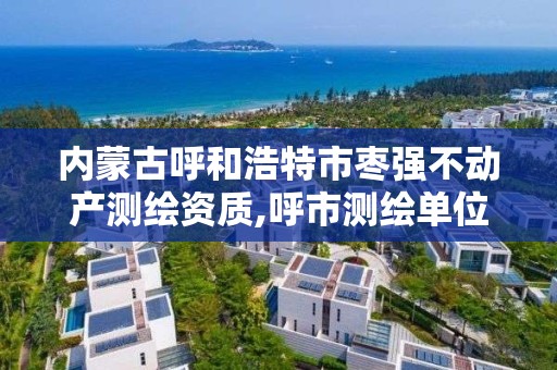 內蒙古呼和浩特市棗強不動產測繪資質,呼市測繪單位。