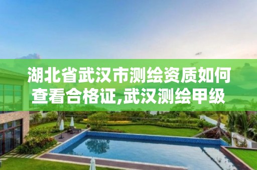 湖北省武漢市測繪資質如何查看合格證,武漢測繪甲級資質公司。