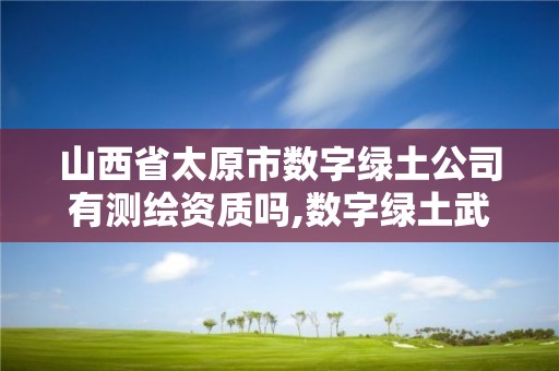 山西省太原市數字綠土公司有測繪資質嗎,數字綠土武漢公司怎么樣。