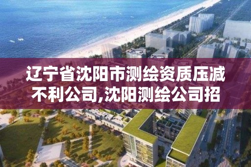 遼寧省沈陽市測繪資質壓減不利公司,沈陽測繪公司招聘。