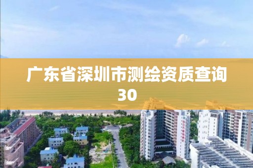 廣東省深圳市測繪資質查詢30