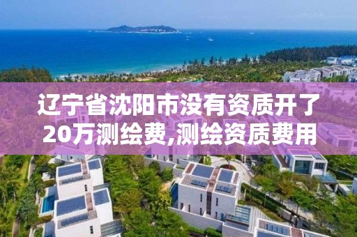 遼寧省沈陽市沒有資質開了20萬測繪費,測繪資質費用。