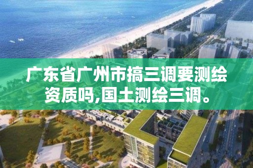 廣東省廣州市搞三調要測繪資質嗎,國土測繪三調。