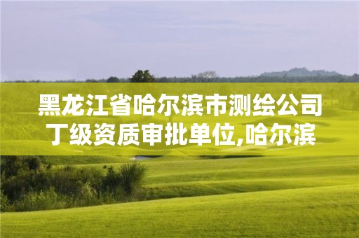 黑龍江省哈爾濱市測繪公司丁級資質審批單位,哈爾濱測繪局是干什么的。