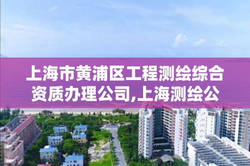 上海市黃浦區工程測繪綜合資質辦理公司,上海測繪公司有哪幾家。