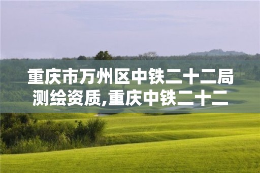 重慶市萬(wàn)州區(qū)中鐵二十二局測(cè)繪資質(zhì),重慶中鐵二十二局集團(tuán)有限公司。