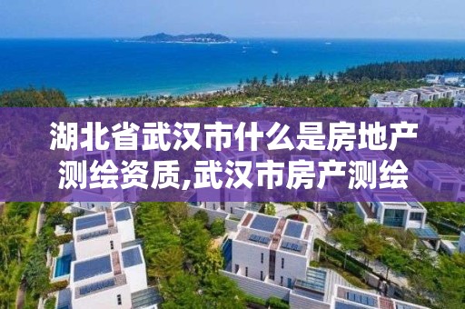 湖北省武漢市什么是房地產測繪資質,武漢市房產測繪實施細則。