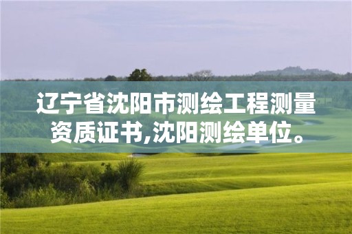 遼寧省沈陽市測繪工程測量資質證書,沈陽測繪單位。