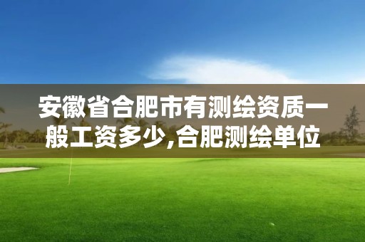 安徽省合肥市有測繪資質一般工資多少,合肥測繪單位。