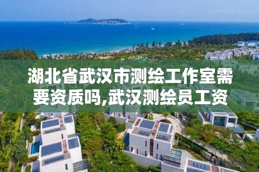 湖北省武漢市測繪工作室需要資質嗎,武漢測繪員工資。