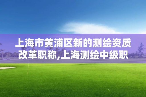 上海市黃浦區新的測繪資質改革職稱,上海測繪中級職稱申報條件。