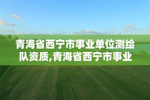 青海省西寧市事業單位測繪隊資質,青海省西寧市事業單位測繪隊資質證書查詢。