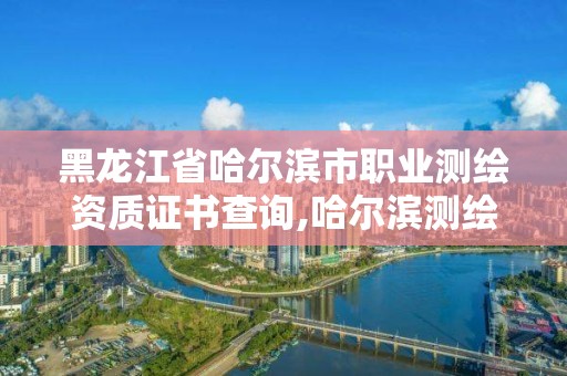 黑龍江省哈爾濱市職業測繪資質證書查詢,哈爾濱測繪局工資怎么樣。