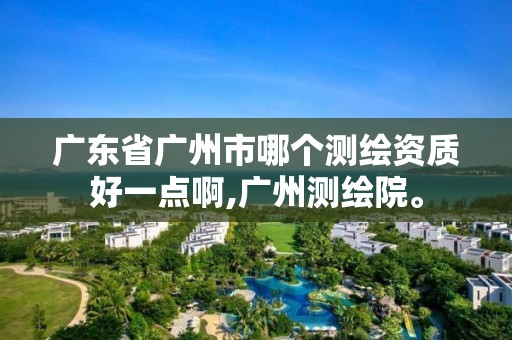 廣東省廣州市哪個測繪資質好一點啊,廣州測繪院。