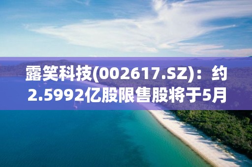 露笑科技(002617.SZ)：約2.5992億股限售股將于5月9日解禁