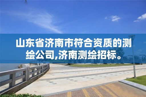 山東省濟南市符合資質的測繪公司,濟南測繪招標。