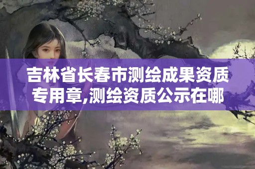 吉林省長春市測繪成果資質(zhì)專用章,測繪資質(zhì)公示在哪里查詢。