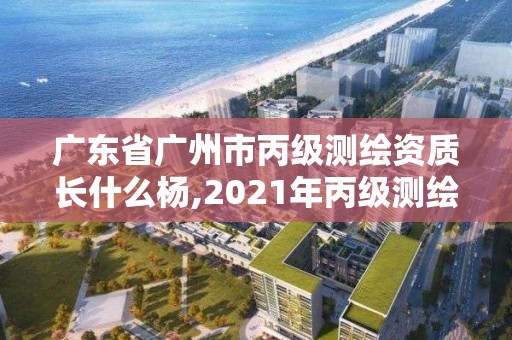 廣東省廣州市丙級測繪資質長什么楊,2021年丙級測繪資質申請需要什么條件。