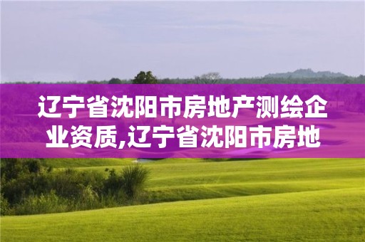 遼寧省沈陽(yáng)市房地產(chǎn)測(cè)繪企業(yè)資質(zhì),遼寧省沈陽(yáng)市房地產(chǎn)測(cè)繪企業(yè)資質(zhì)查詢。