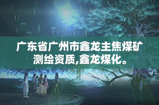 廣東省廣州市鑫龍主焦煤礦測繪資質,鑫龍煤化。