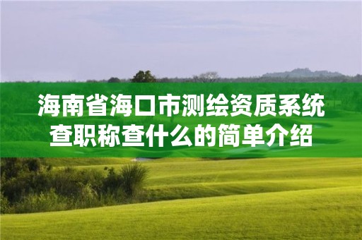 海南省海口市測繪資質系統查職稱查什么的簡單介紹