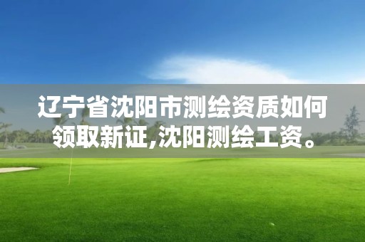 遼寧省沈陽市測繪資質如何領取新證,沈陽測繪工資。