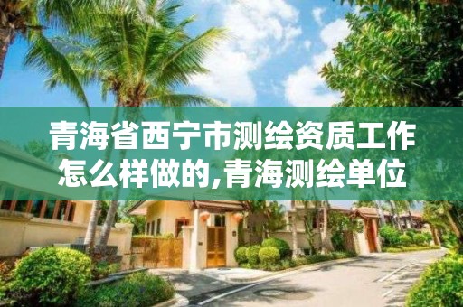 青海省西寧市測繪資質工作怎么樣做的,青海測繪單位。