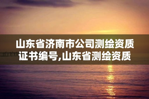 山東省濟南市公司測繪資質證書編號,山東省測繪資質專用章圖片。