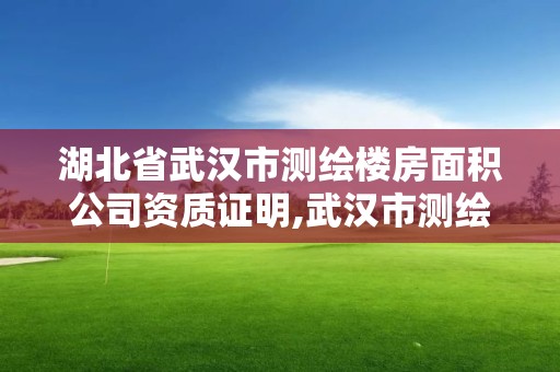 湖北省武漢市測繪樓房面積公司資質證明,武漢市測繪工程技術規定。