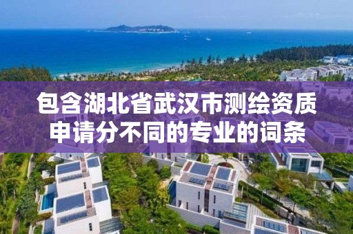 包含湖北省武漢市測繪資質申請分不同的專業的詞條