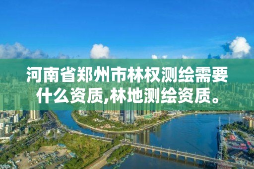 河南省鄭州市林權測繪需要什么資質,林地測繪資質。